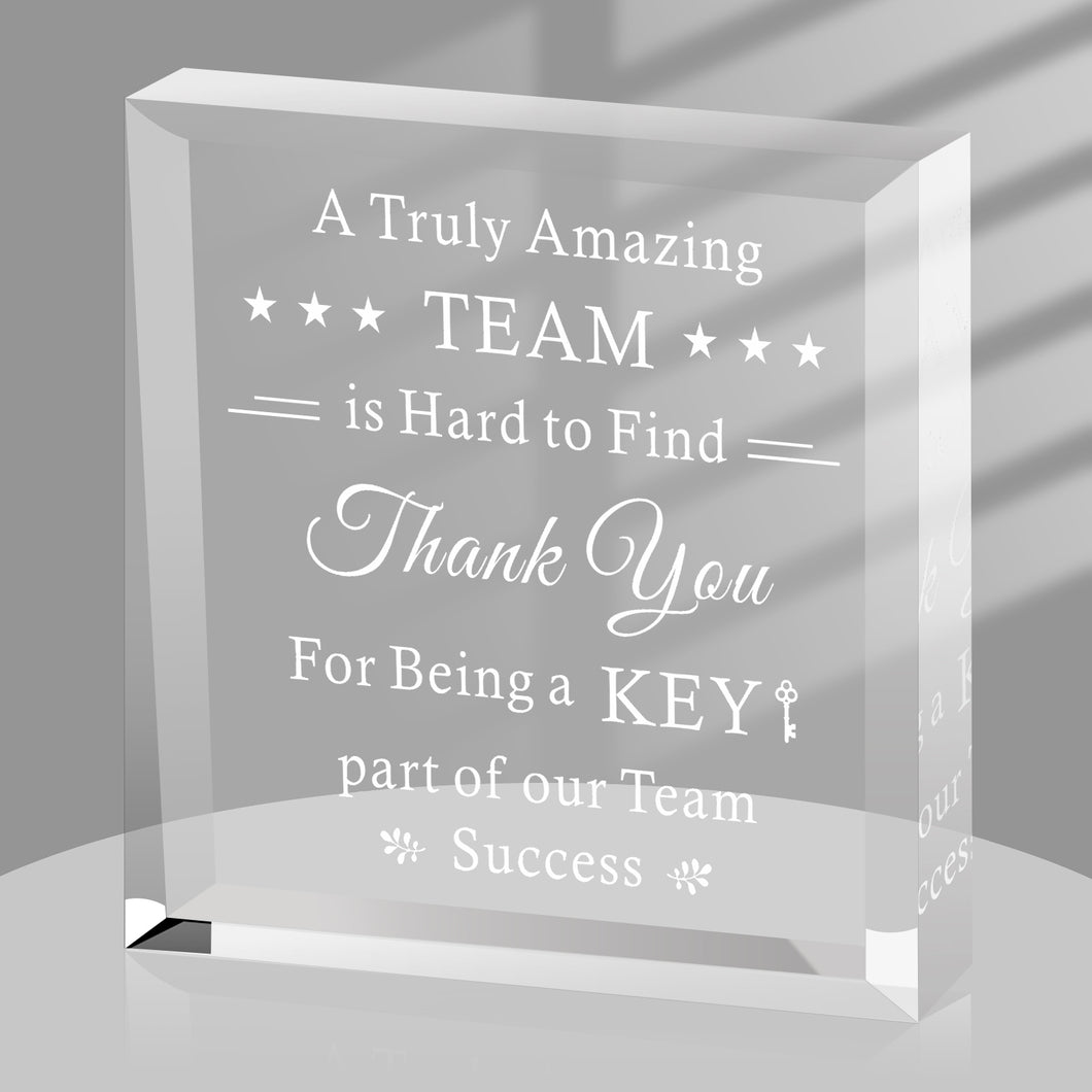 Team Gifts Employee Appreciation Gifts Acrylic Office Keepsake for Boss Leader Coworker Leaving Christmas Thank You Gifts Nurses Teacher Retirement Farewell Going Away Birthday Paperweight Desk Sign